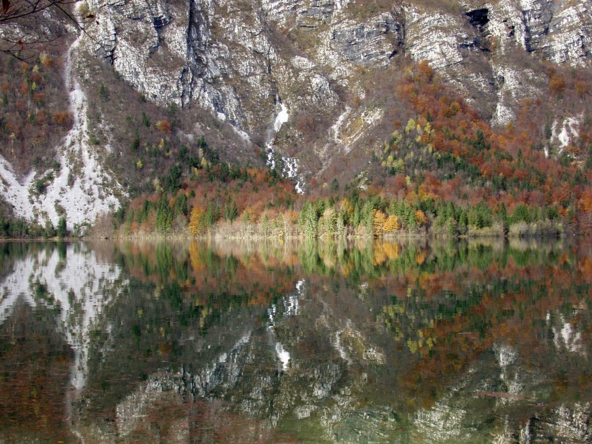 Apartment Ravnik Brod 13 Bohinj Zewnętrze zdjęcie